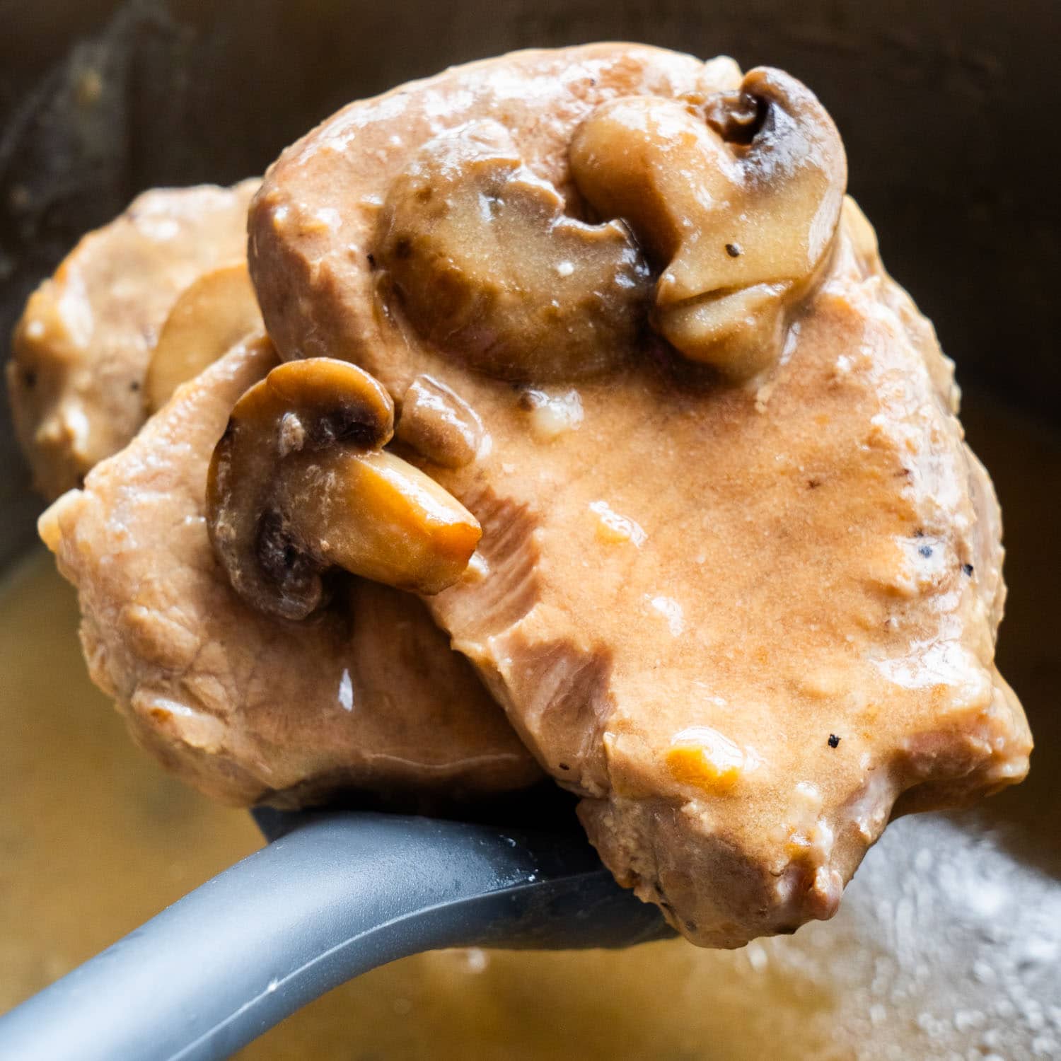 Instant Pot Frozen Pork Chops: No Defrosting, Just Tender Dinner